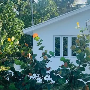  Otel The Cay House